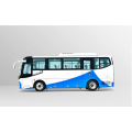 30 eserleku autobus turistiko elektrikoa